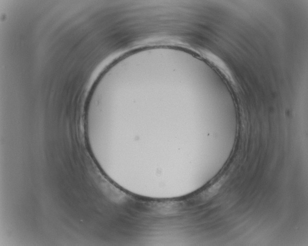 X0000076401288200610271609