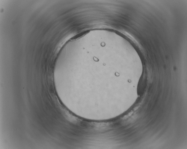 X0000076401289200610271609