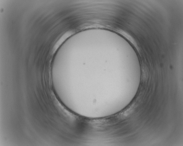 X0000076401290200610271608