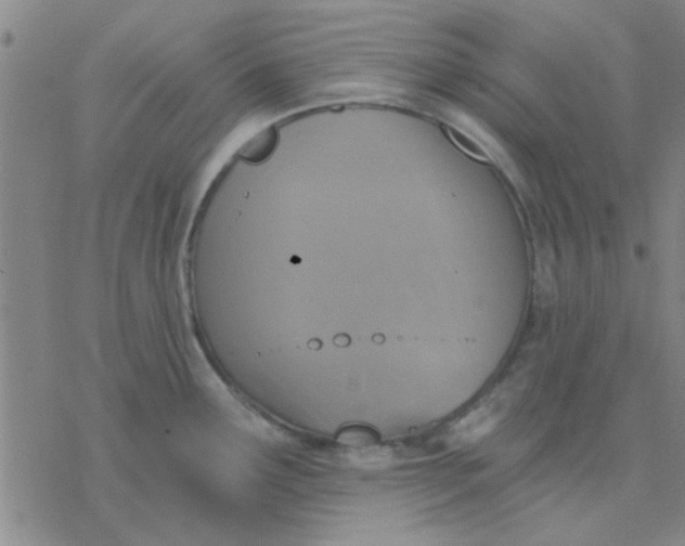 X0000076401291200610271608