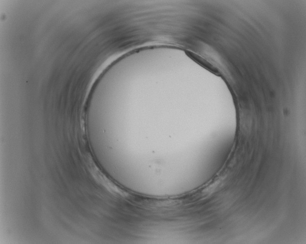 X0000076401292200610271608