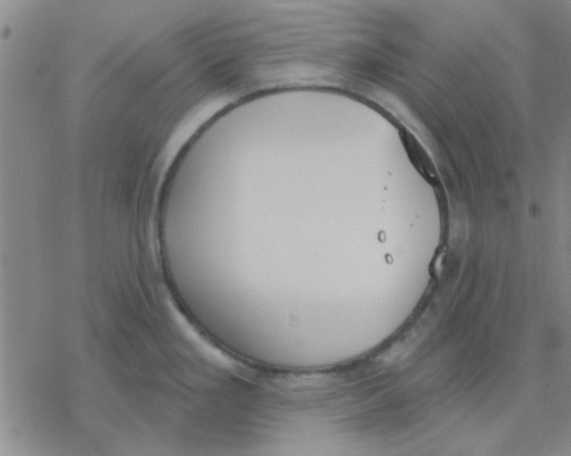 X0000076401293200610271608