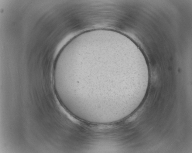 X0000076401294200610271608