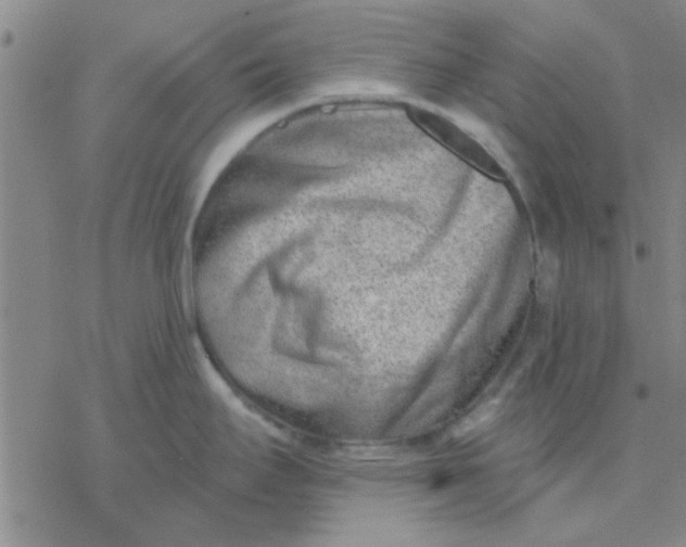 X0000076401295200610271608