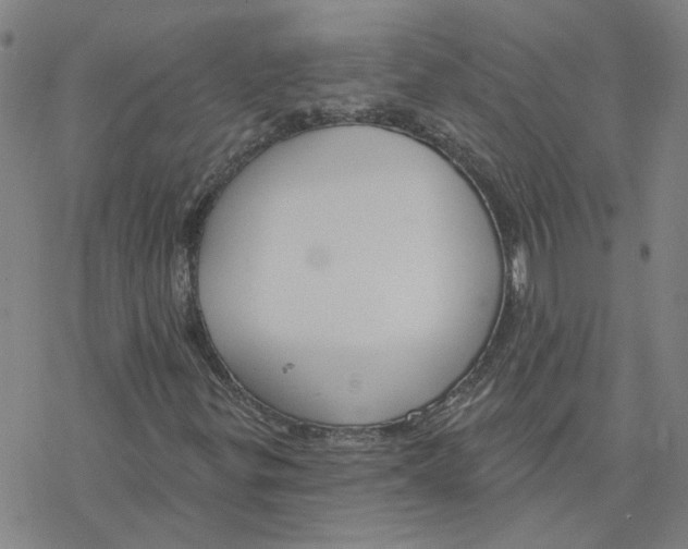 X0000076401299200610271608