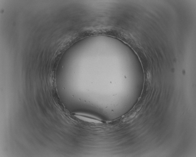 X0000076401300200610271608