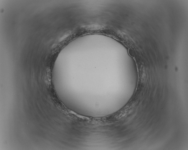 X0000076401301200610271608