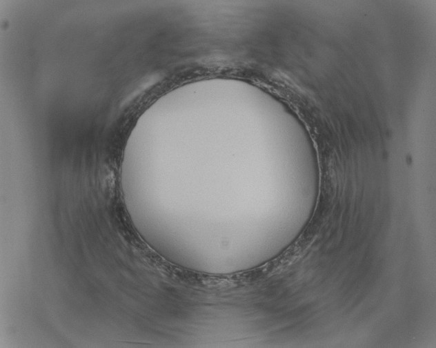 X0000076401302200610271608