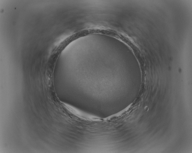 X0000076401303200610271608