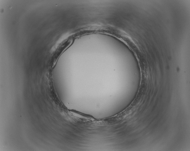 X0000076401304200610271608