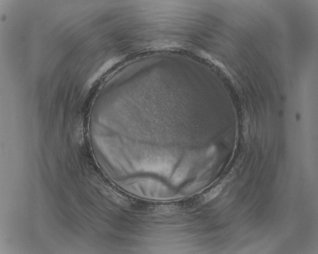 X0000076401306200610271608