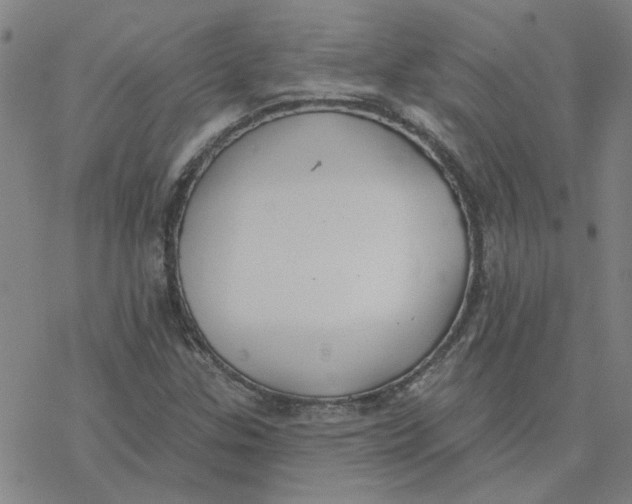 X0000076401307200610271608