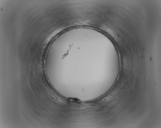 X0000076401308200610271608