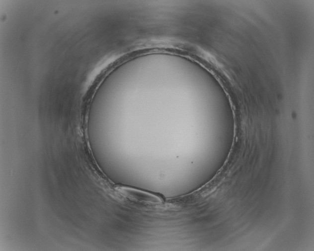 X0000076401312200610271608