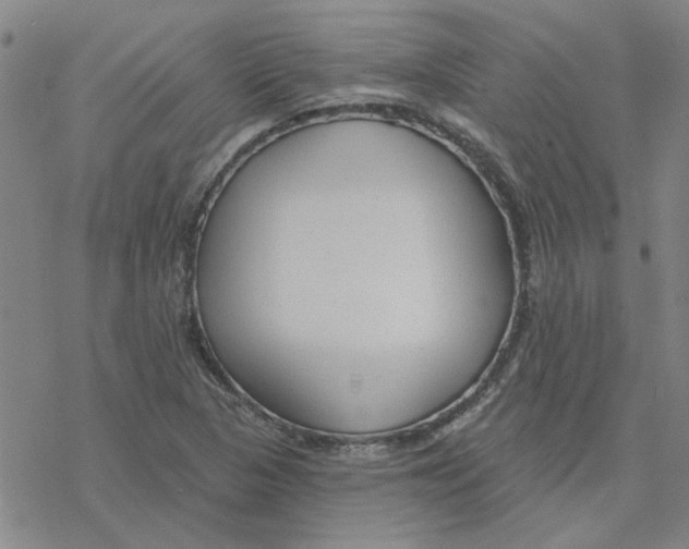 X0000076401313200610271608