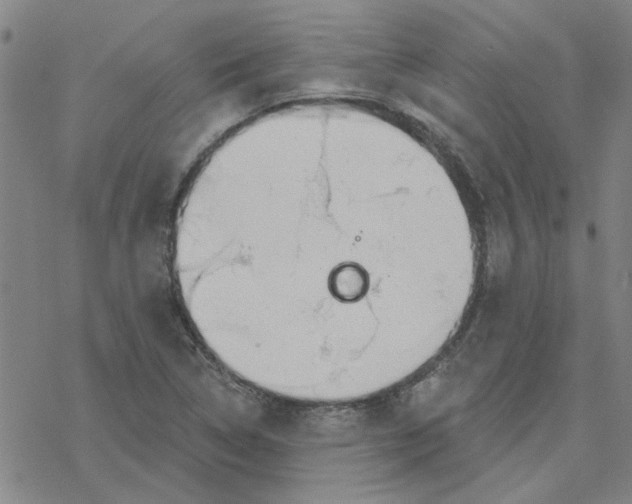 X0000076401314200610271608