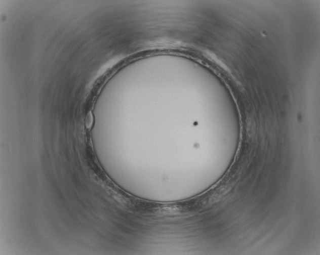 X0000076401315200610271608