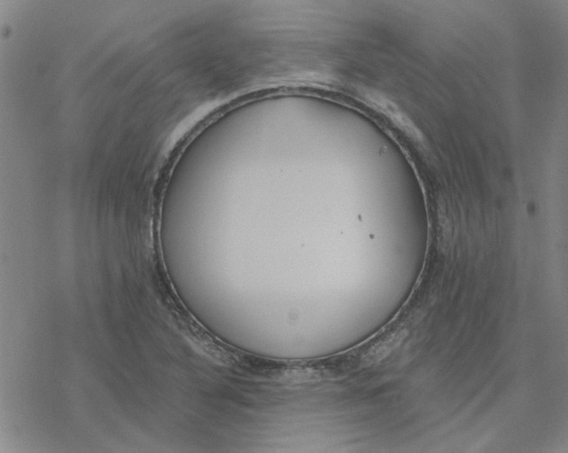 X0000076401316200610271608