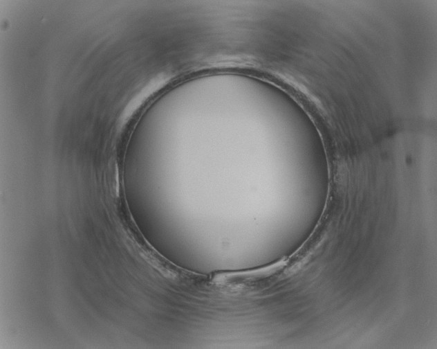 X0000076401317200610271608