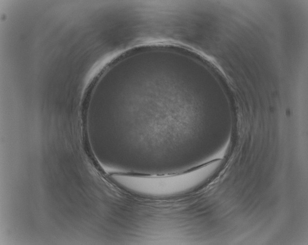 X0000076401319200610271608