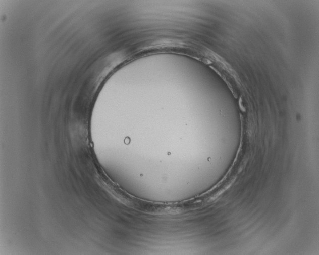 X0000076401321200610271608