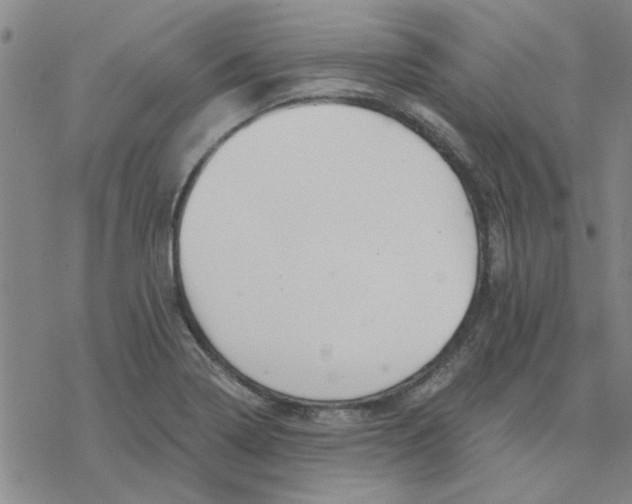 X0000076401322200610271608