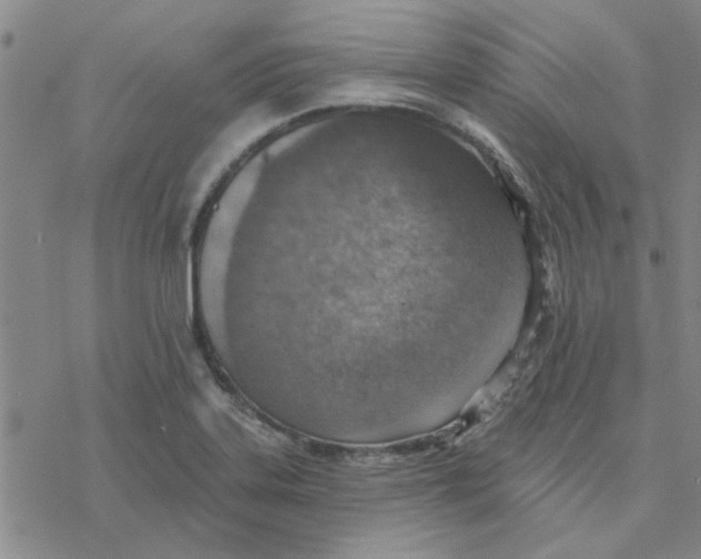 X0000076401323200610271608