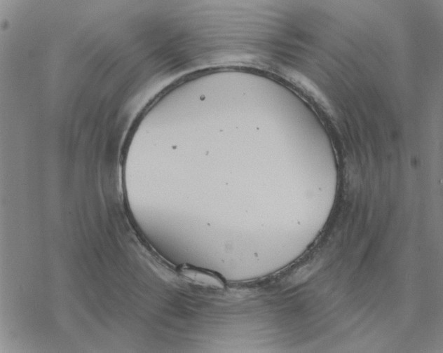 X0000076401324200610271608