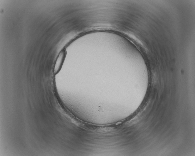 X0000076401325200610271608