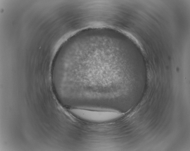 X0000076401327200610271608