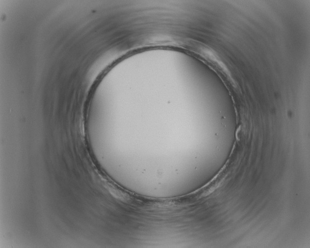 X0000076401328200610271608