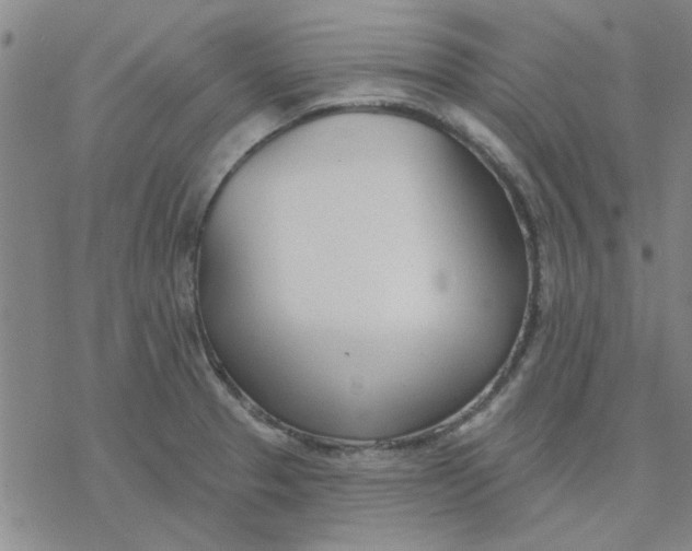 X0000076401329200610271608