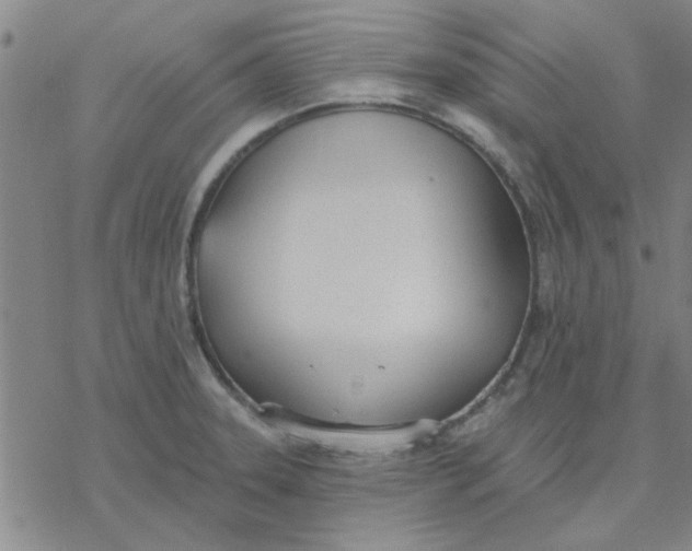 X0000076401331200610271608