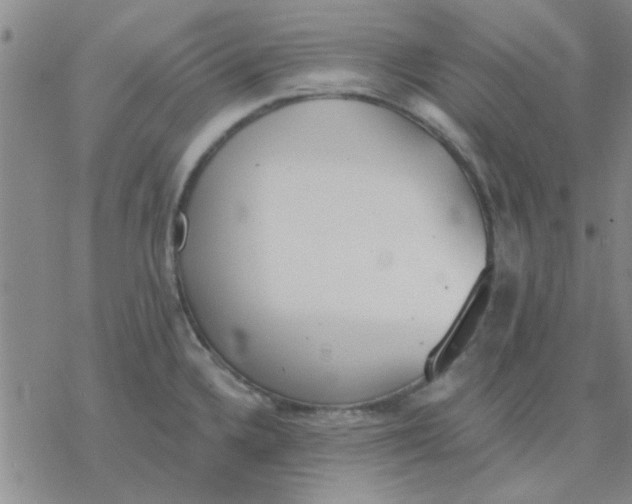 X0000076401336200610271608