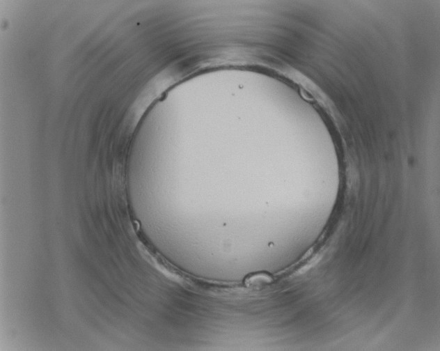 X0000076401337200610271608