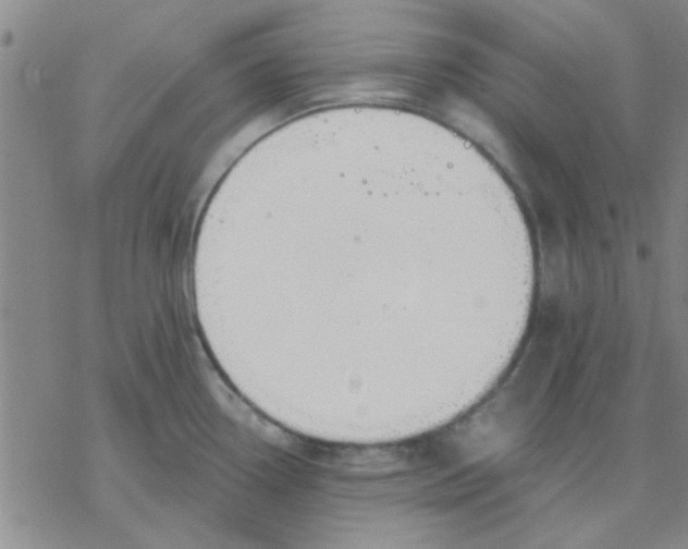 X0000076401338200610271608