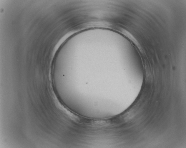 X0000076401339200610271608