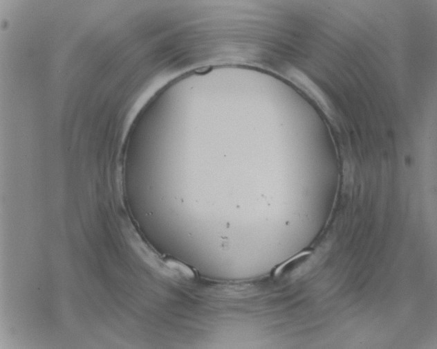 X0000076401340200610271608