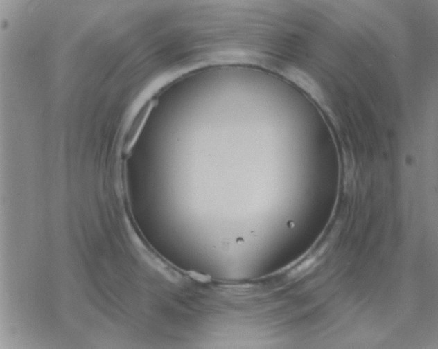 X0000076401342200610271608