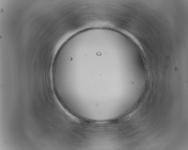 X0000076401343200610271608