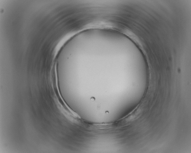 X0000076401344200610271608