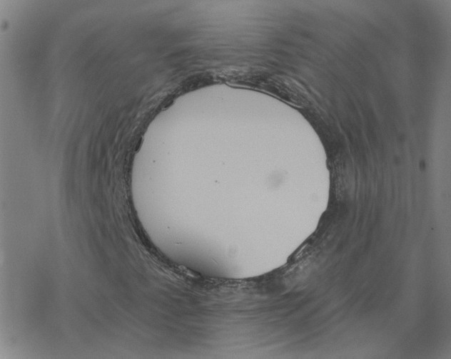 X0000076401345200610271607