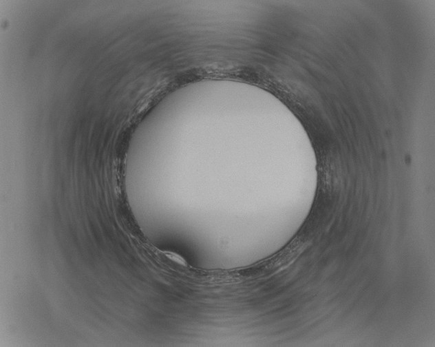 X0000076401346200610271607