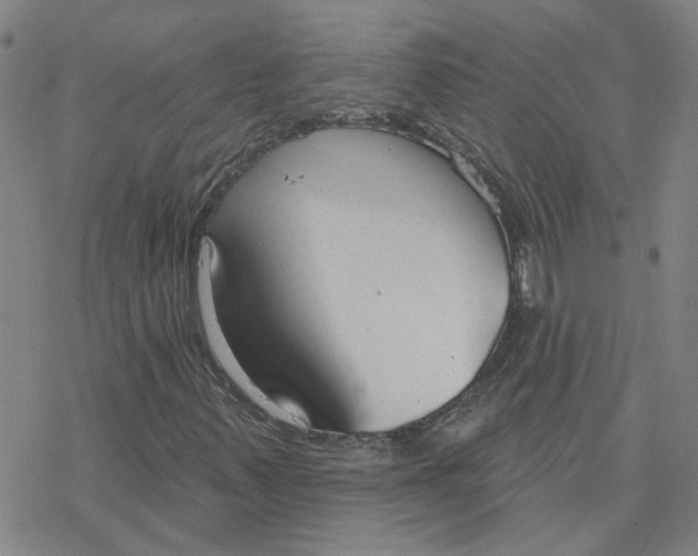 X0000076401347200610271607