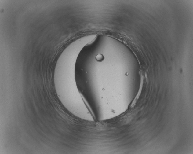 X0000076401348200610271607