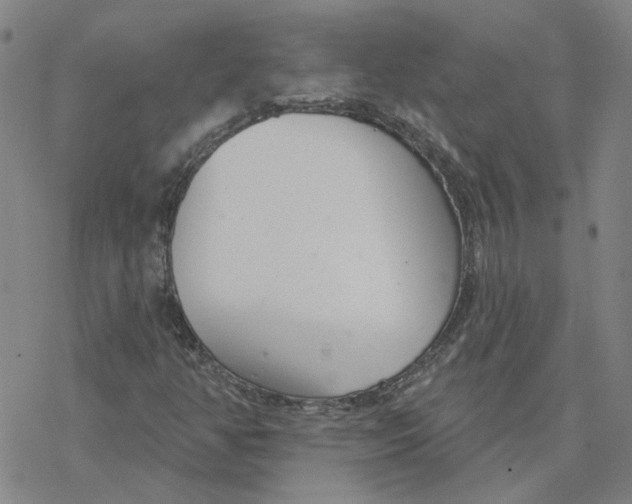 X0000076401350200610271607