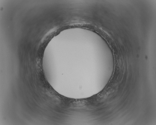 X0000076401351200610271607