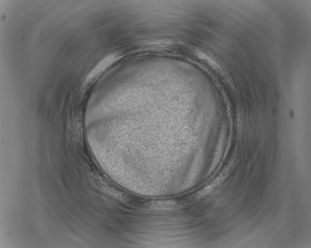 X0000076401354200610271607