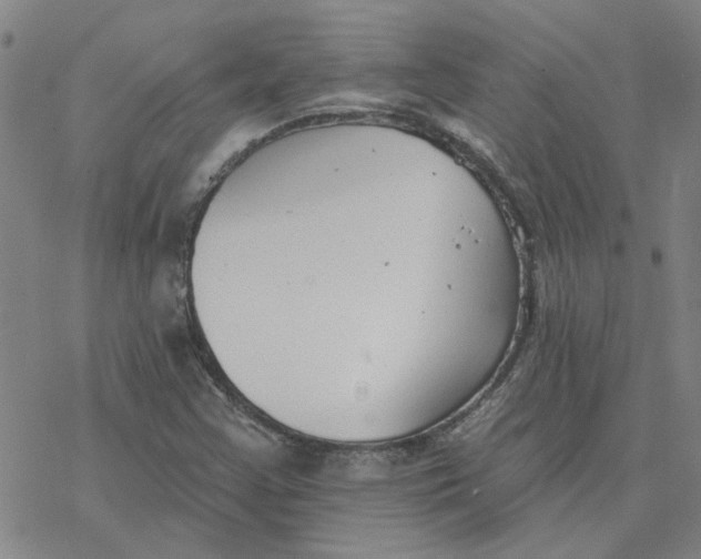 X0000076401355200610271607