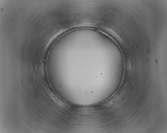 X0000076401356200610271607